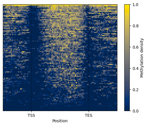 Basic usage - HeatMap