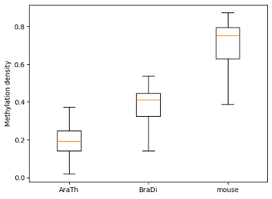 EDA3 - BoxPlot