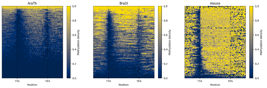 EDA3 - HeatMap