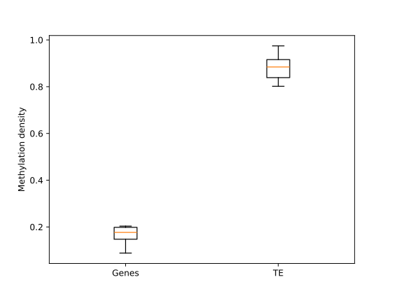 EDA1 - Genes_vs_TE ViolinPlot