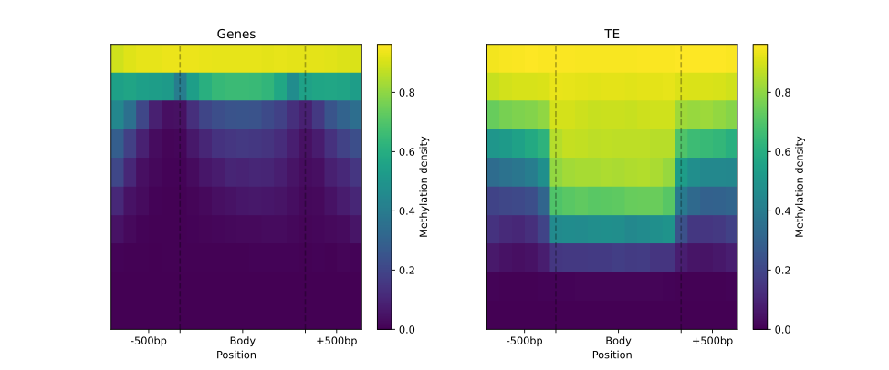 EDA1 - Genes_vs_TE HeatMap