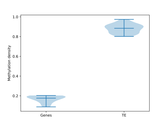 EDA1 - Genes_vs_TE BoxPlot