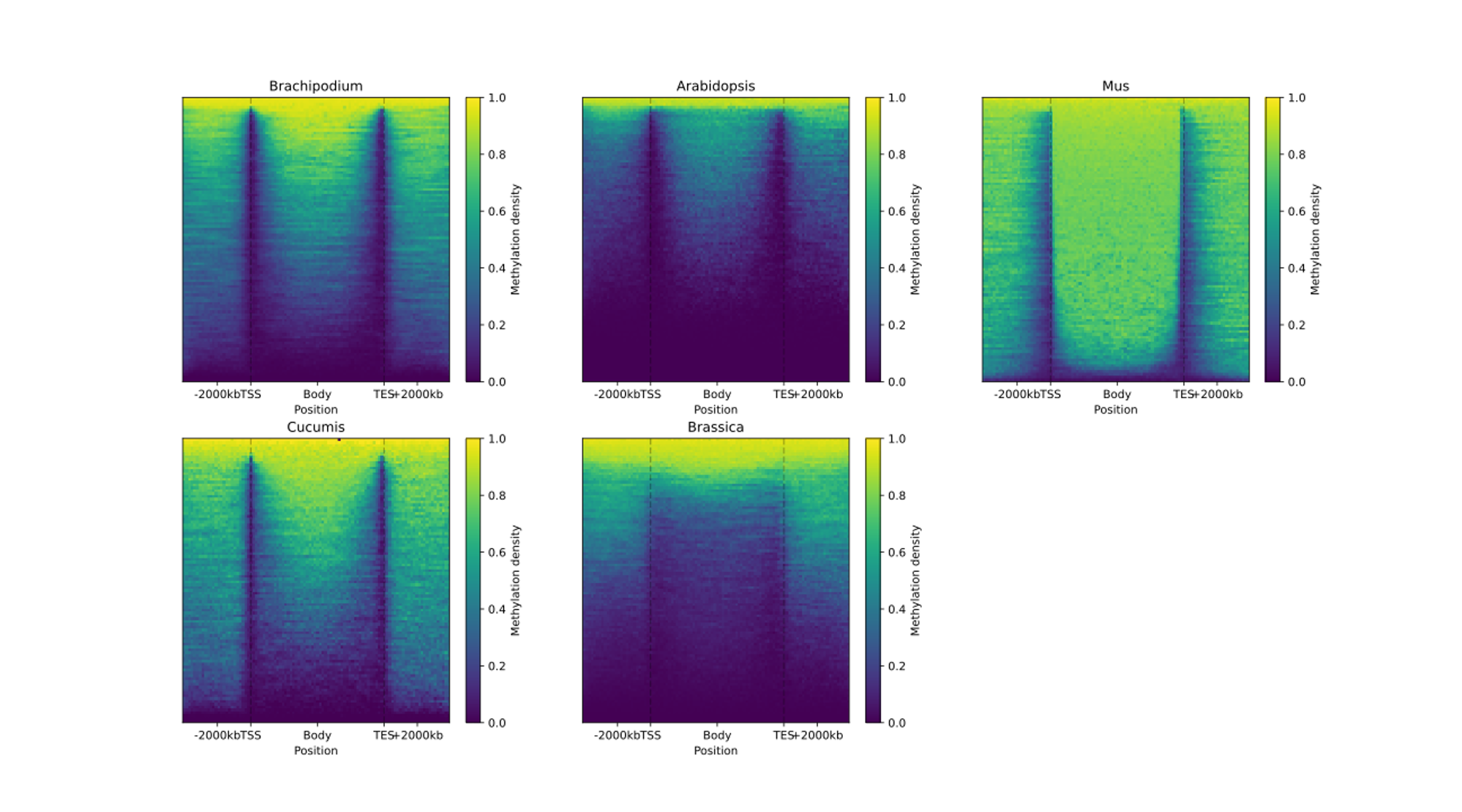 EDA3 - BoxPlot