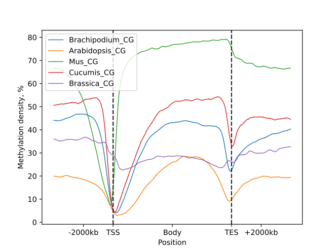 EDA3 - ViolinPlot